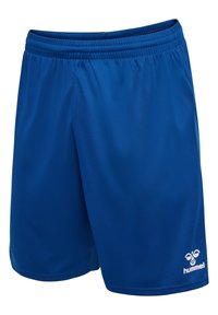 Blue athletic shorts with elastic waistband and white hummel logo on lower right leg, made of lightweight fabric.