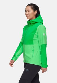 Mammut LINARD GUIDE HOODED - Giacca hard shell - aurora pinea