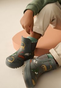 Bottes de pluie en caoutchouc gris avec des motifs de dinosaures en vert, rouge et jaune. Elles sont de hauteur cheville, avec des panneaux élastiques sur les côtés et des semelles texturées.