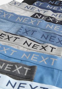 Next 10 PACK STANDARD - Shorty - blue grey