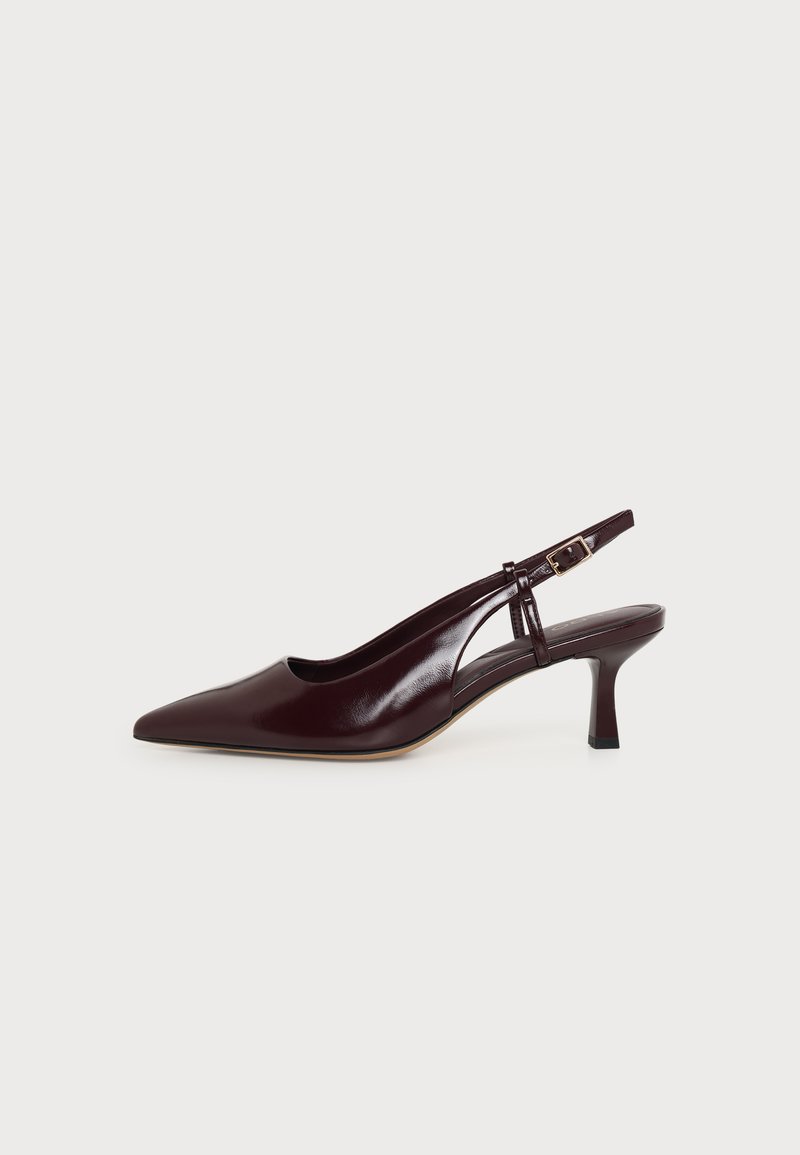 Escarpin femme à bride arrière en cuir brun foncé, bout pointu, petit talon kitten et bride ajustable avec boucle dorée, présenté sur fond blanc.