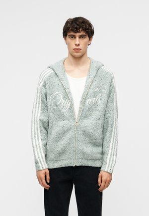 Jeune homme portant un sweat à capuche zippé gris clair en tissu pelucheux avec des rayures blanches sur les manches et un texte blanc en écriture, assorti à un pantalon noir.