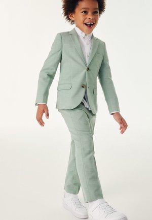 Baker by Ted Baker STANDARD - Broek - green
