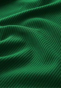 Seasalt Cornwall HAZEL - Langarmshirt - green - evergreen