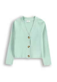 Miętowo-zielony kardigan z prążkowanej dzianiny, z dekoltem w kształcie V, z przodu zapinany na guziki i z długimi rękawami. Ma cztery okrągłe, brązowe guziki przy zapięciu.