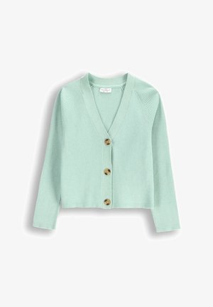 Miętowo-zielony kardigan z prążkowanej dzianiny, z dekoltem w kształcie V, z przodu zapinany na guziki i z długimi rękawami. Ma cztery okrągłe, brązowe guziki przy zapięciu.