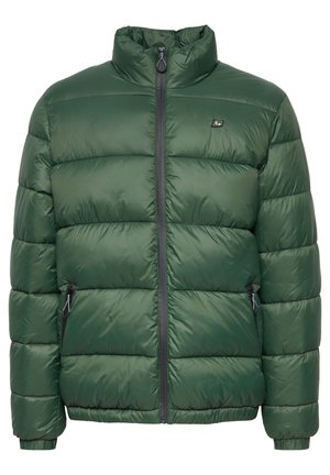 Giacca verde imbottita con colletto alto, zip frontale e due tasche laterali; texture liscia e sezioni trapuntate per isolamento.