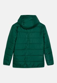 Patagonia REVERSIBLE READY FREDDY HOODY UNISEX - Casaco de inverno - conifer green