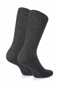 Szare bawełniane skarpetki z prążkowanymi mankietami, wzmocnionymi piętami i niebieskim logo na dole. Posiadają gładką fakturę i standardową długość do kostki.