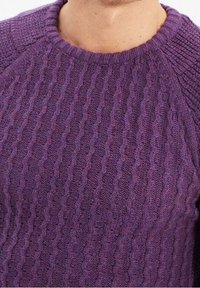 Violetti neulottu villapaita, jossa on teksturoitu, resorimainen kuvio, pyöreä pääntie ja raglansanit, valmistettu pehmeästä, teksturoidusta langasta.