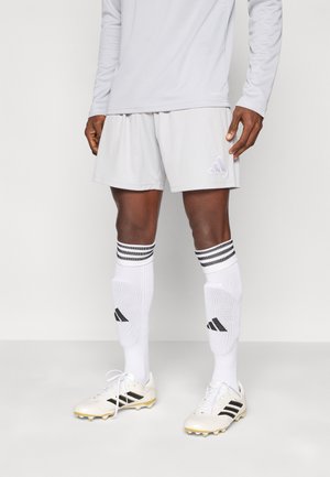 ENTRADA26  - Sports shorts - team light grey/white
