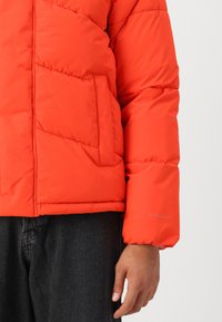 Jack & Jones JJWORLD  czerwony