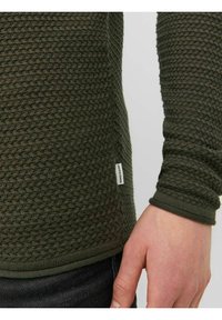 Grøn strikket sweater med et tekstureret mønster, der har en rund halshul og ribbekanter. Indeholder et lille mærkelabel på siden.