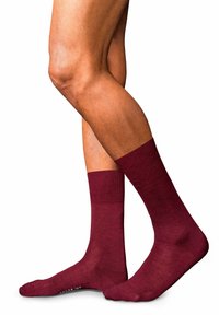 FALKE NO. 6 - Calze - barolo