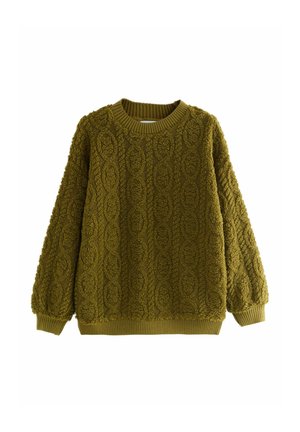 FLUFFY SOFT BORG CABLE LONG SLEEVE CREW NECK - Fleece jumper - olive green