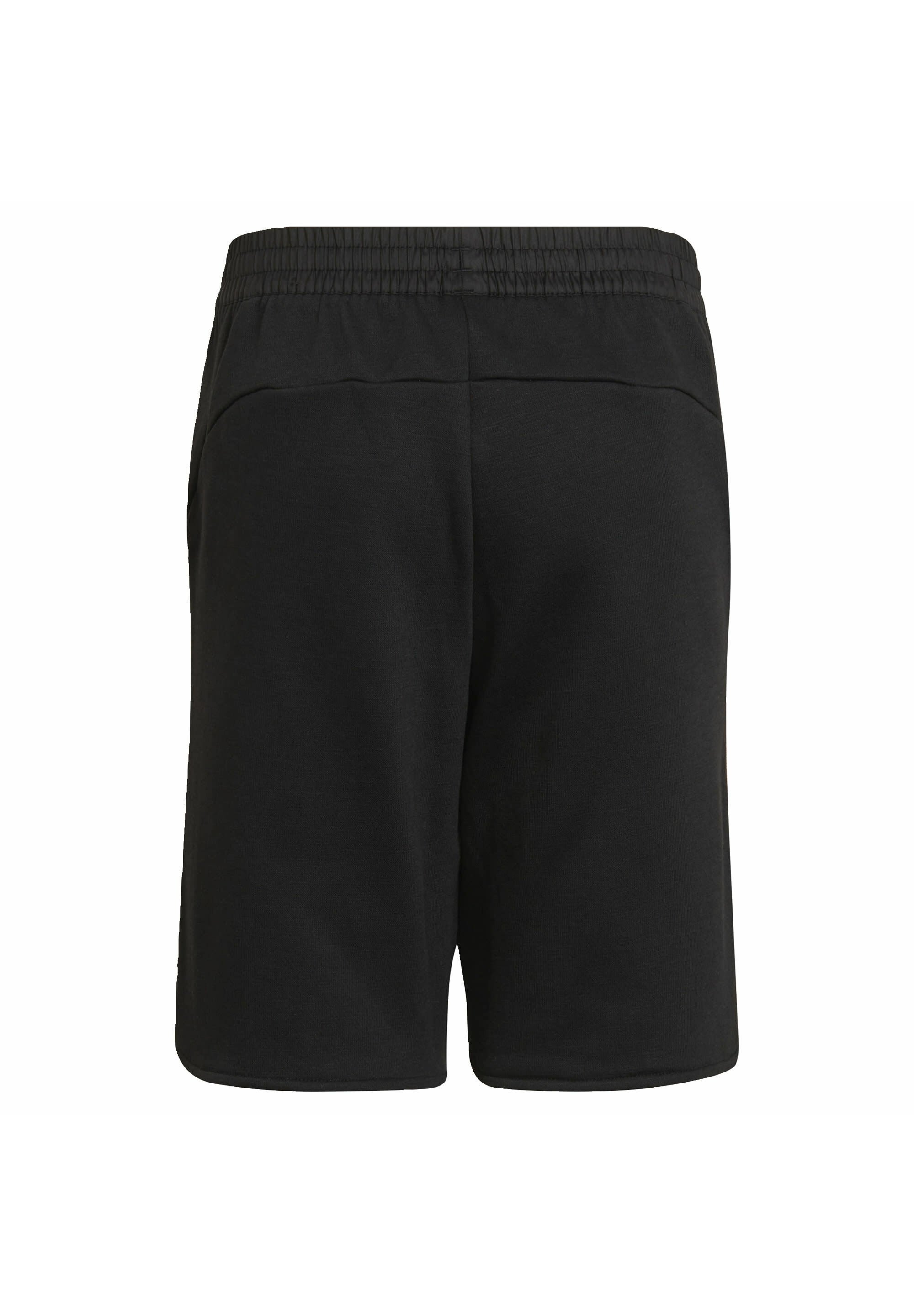 adidas Performance Pantalón corto de deporte - black/negro - Zalando.es