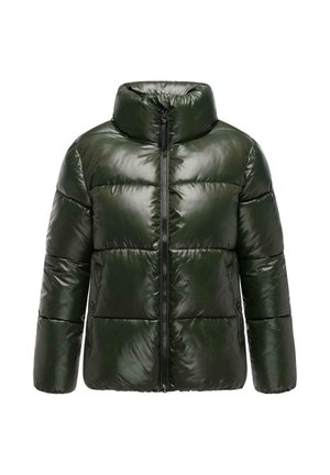 Padded jacket in dark green, glossy material. High collar, front zipper, and quilted design with horizontal stitching. Sleek and modern silhouette.
