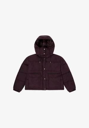 Lee LINED SHORT PUFFER WITH HOOD RELAXED FIT - Winterjas - deep wine