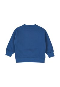 Felpa blu con collo rotondo, maniche lunghe, polsini e orlo a coste. Texture liscia e vestibilità rilassata. Senza motivi o accenti distintivi.