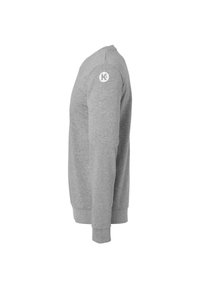 Grå sweatshirt med lange ærmer, ribbede manchetter og rund hals. Har et cirkulært logo på venstre skulder og en blød stofstruktur.