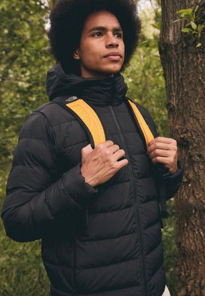 ACONCAGUA HOODIE - Chaqueta de plumas - tnf black