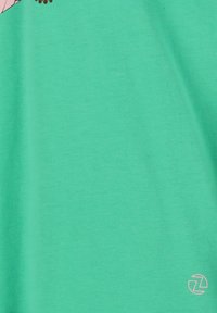 ZIGZAG T-shirts print - groen mint