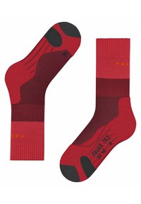 FALKE TK2  - Chaussettes de sport - merlot