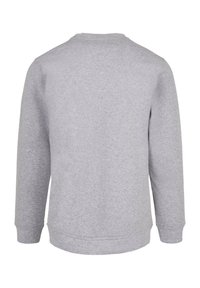 Grå genser med lange ermer, rund hals, myk tekstur og ribbestrikkede mansjetter og kant. Ingen synlige logoer eller mønstre.
