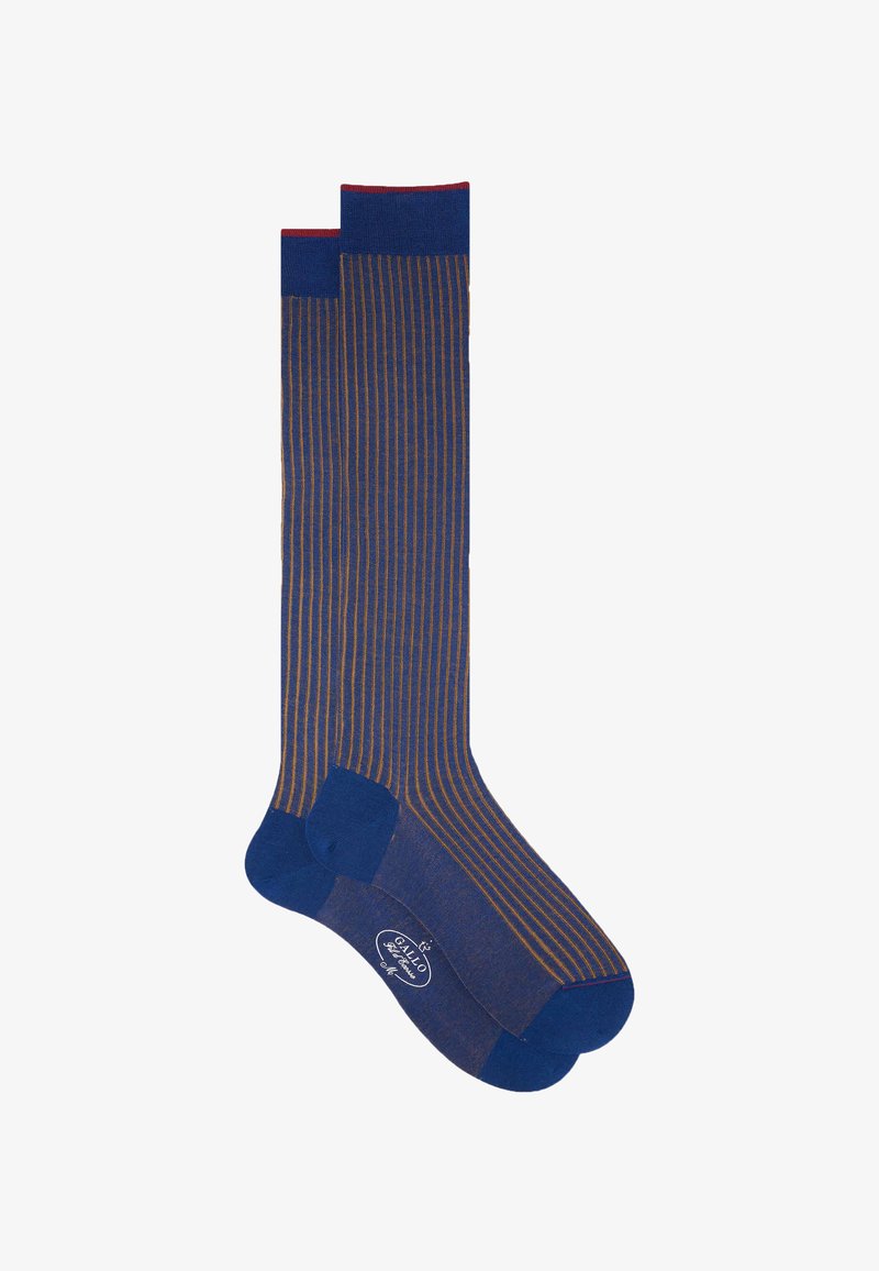 Gallo LUNGHE VANISÉ - Knee high socks - royal curry