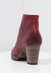 Gabor Botines bajos - dark red