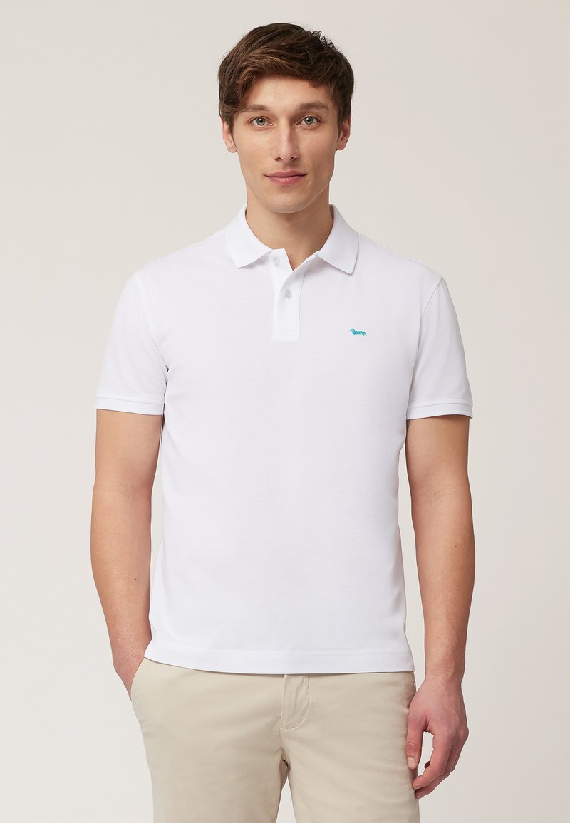 Witte polo shirt van katoen, met een korte knoopsluiting kraag en een klein turquoise hondenlogo op de linkerborst.