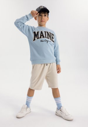 RIBBED CREW NECK - Sweatshirt - light blue
