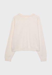 Helles, rosa, weiches Sweatshirt mit Rundhalsausschnitt, langen Ärmeln und einem leicht verkürzten Saum. Es hat eine glatte Textur und ein minimalistisches Design.