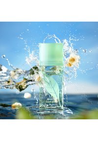 Immagine in miniatura 3