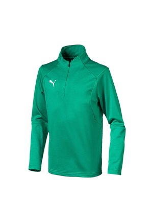 Grünes langärmliges Sporttrikot mit einem halben Reißverschlusskragen, strukturiertem Stoff und einem weißen Puma-Logo auf der oberen linken Seite.