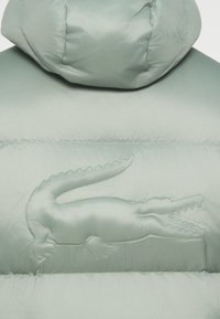 Jachetă căptușită din material verde deschis cu o finisare texturată. Prezintă un logo brodat cu crocodil pe spate. Glugă moale, rotunjită.