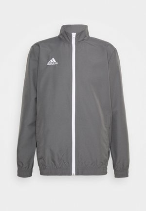 adidas Performance ENTRADA PRESENTATION  - Chaqueta de entrenamiento - team grey four