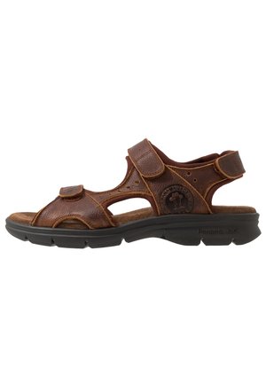 SALTON BASICS C4 - Walking sandals - bark