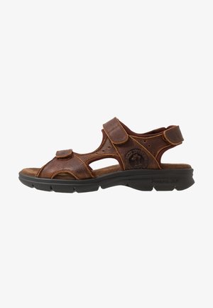 Panama Jack, SALTON BASICS C4 - Sandalias de senderismo - bark
