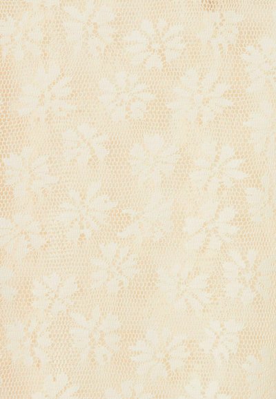 Tela de encaje color crema con patrones florales que presentan hojas y pequeñas flores tejidas en un fondo de red fina.
