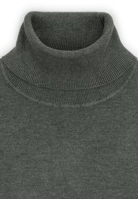 Ciemnozielony sweter typu golf wykrojony z prążkowanej dzianiny, z wysokim, złożonym kołnierzem i gładką fakturą. Projekt jest prosty i klasyczny.