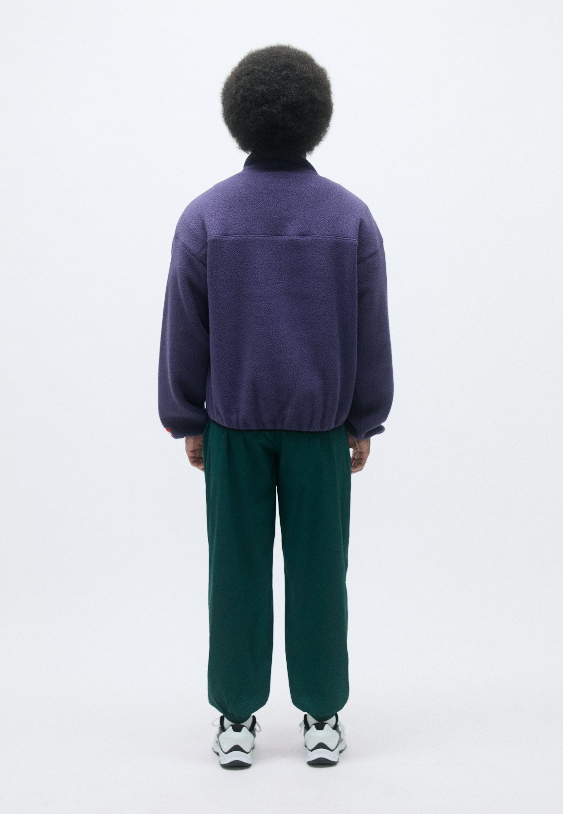 The North Face REDBOX 1/2 ZIP FLEECE - Fleecepullover - eternal