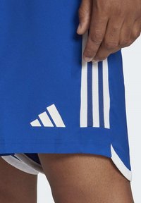 adidas Performance TIRO 23 COMPETITION MATCH  - Korte broeken - royal blue   white