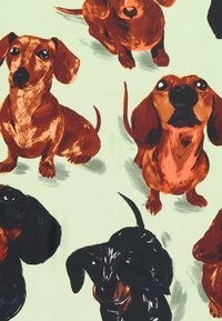 Dachshundo iliustracija šviesiai žaliame fone. Pavaizduoti įvairūs pozos ir spalvos, įskaitant rudus ir juodus kailius su išskirtiniais ženklais.