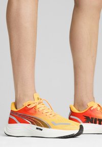 Puma VELOCITY NITRO 3 FADE - Zapatillas running asfalto - sun stream sunset glow puma white