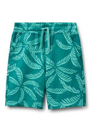 Shorts - multicolor