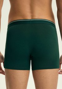 Zielone bawełniane bokserki w slim fit, z kontrastującą paskową talią i gładką teksturą. Brak widocznych wzorów lub logo.