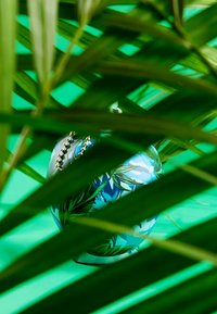 Vase décoratif en céramique de couleur bleue avec des motifs de feuilles tropicales vertes, partiellement obscurci par des feuilles de palmier vertes, sur un fond vert uni.
