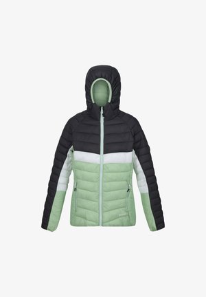 Regatta HARROCK II - Übergangsjacke - QuiGrn SlGry