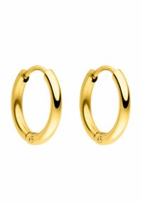 PURELEI SPIRIT - Ohrringe - goldfarben
